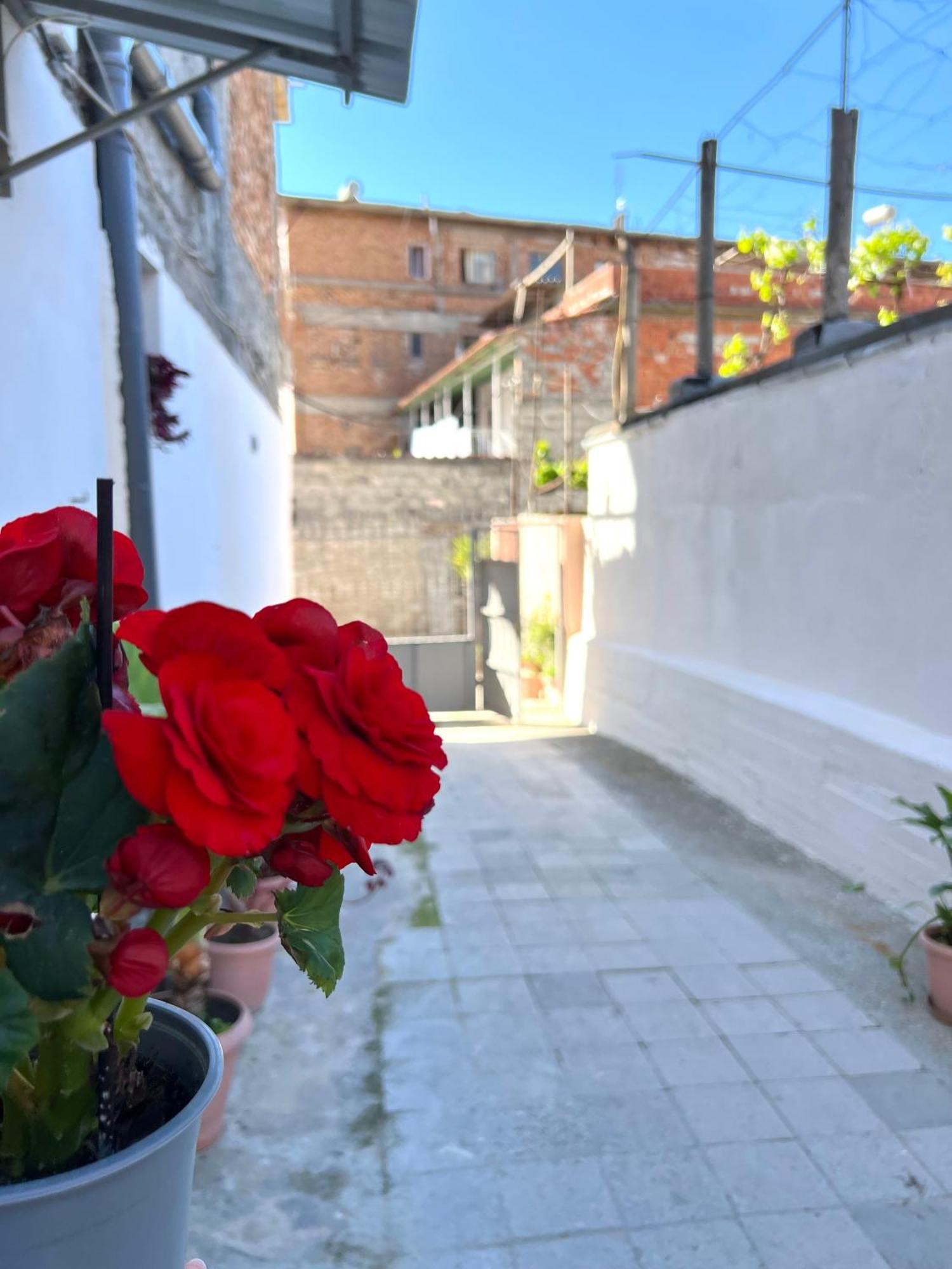 Villa Ensalv Berat - Apartment - Room - Penthouse Exterior foto